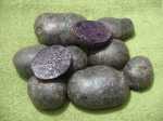 purple majesty potato tubers